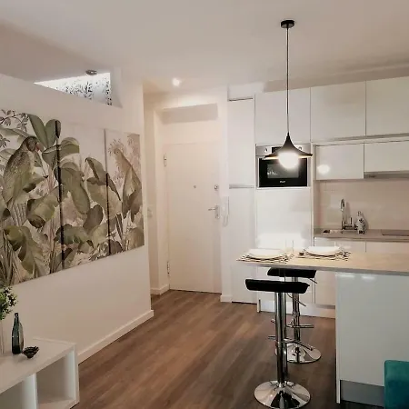 Window Garden Apartment Porto