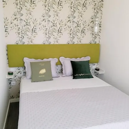 Апартаменты Window Garden Порту