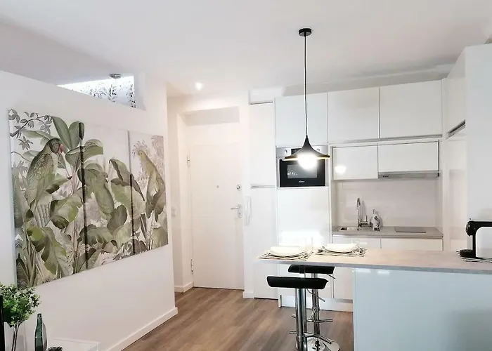 Window Garden Apartamento Oporto