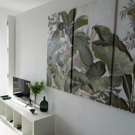 Window Garden